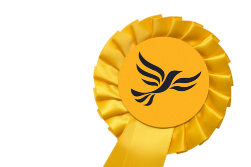 Lib Dem Rosette.