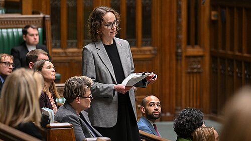 Alison in the chamber of the houses of parliament speaking