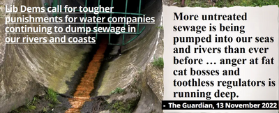 Sewage article